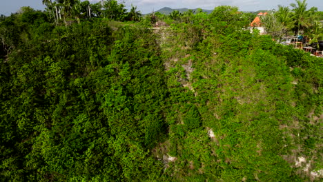 Drone-pilot,-aerial-reveal-of-vegetation,-sand,-rock-and-lagoon-water