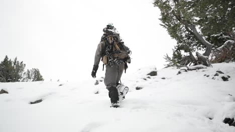 Bogenschießen-Bogen-Elchjagd-Im-Schnee-In-Montana-Im-Oktober-Im-Schnee