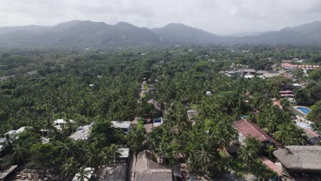 Lush-Palomino-Town-and-Beach,-Aerial-view.-Colombia