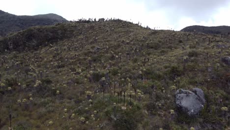 Toma-Panorámica-Del-Paisaje-Andino-En-El-Páramo-Del-Sol-En-El-Departamento-De-Antioquia-En-Colombia.