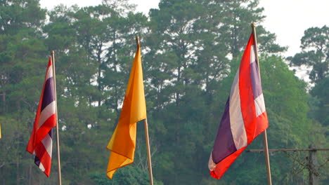 Rey-De-Tailandia-Y-Bandera-Tailandesa-Ondeando-En-El-Viento-Al-Atardecer