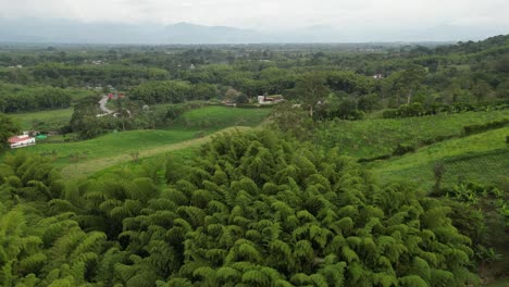 Vista-Aérea-Del-Paisaje-Verde-En-El-Eje-Cafetero-Cerca-De-La-Ciudad-De-Armenia-En-El-Departamento-De-Quindío-De-Colombia