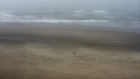 Layer-of-morning-fog-over-Pacific-Ocean-as-waves-break-on-sandy-beach,-Oregon-coast