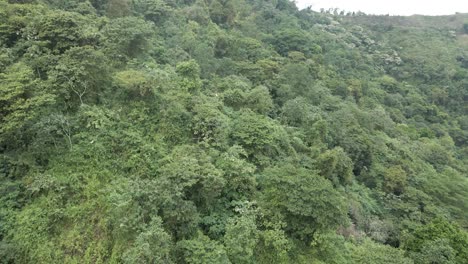 Drones-Sobre-El-Denso-Suelo-Forestal-De-Las-Montañas-De-Sierra-Nevada-En-Colombia