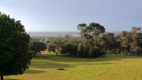 Panoramic-at-green-urban-landscape-native-of-Cornwall-Park,-Auckland,-New-Zealand