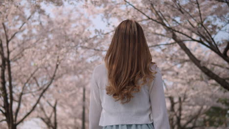 Joven-Caucásica-Con-Cabello-Largo-Y-Rubio-Caminando-Junto-A-Los-árboles-De-Sakura-En-Seocho,-Seúl,-Corea-Del-Sur