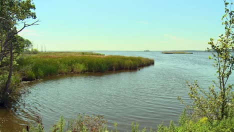 Estanque-Panorámico-En-El-Refugio-Nacional-De-Vida-Silvestre-De-Blackwater,-Maryland,-Estados-Unidos---Inclinado-Hacia-Arriba