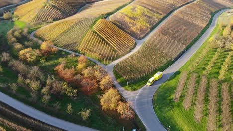 Transporter-with-trailer-drives-through-vineyards-that-glow-in-colorful-autumn-colors
