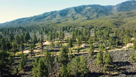 Vegetation-Und-Berge-Rund-Um-Den-Lake-Hemet-In-Kalifornien,-USA---Drohnenaufnahme