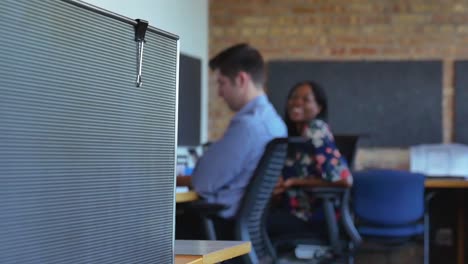 Two-diverse-collegues-discussing-work-at-their-desk