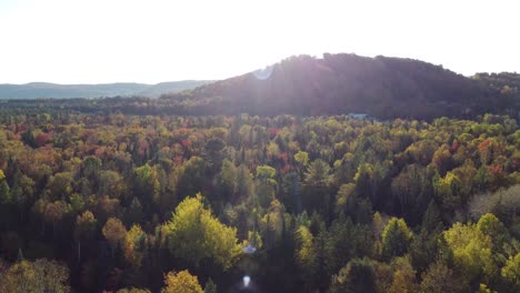 drone-fly-above-tree-forest-in-Laurentides-Québec-Canada-wilderness-near-Montreal