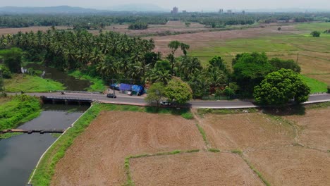 The-aerial-view-of-a-paddy-field-adjacent-to-a-highway,-with-vehicles-traversing-the-road-on-the-countryside-of-Thrissur,-Kerala,-India