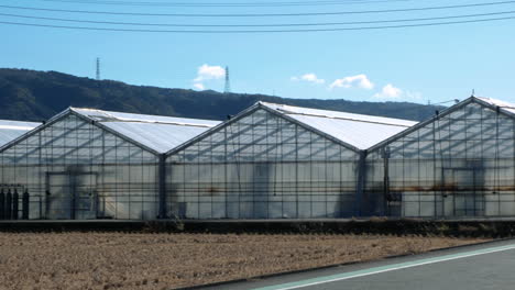 Greenhouse-for-plant-growing.-Sunny-day