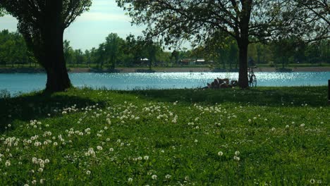 Zagrebs-Jarun-See:-Ruhiges-Wasser,-Sattes-Grün-Und-Ein-Einsamer-Mensch,-Der-Die-Sonnige-Atmosphäre-Genießt