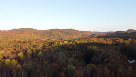 aerial-tree-forest-view-in-Laurentides-mountains-Québec-Canada