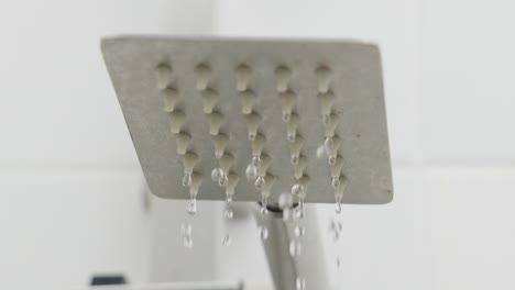 Shower-head,-droplets-of-water,-stainless-steel,-domestic-equipment