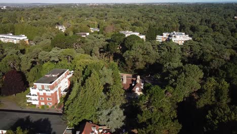 Toma-Aérea-De-Propiedades-Forestales-Modernas