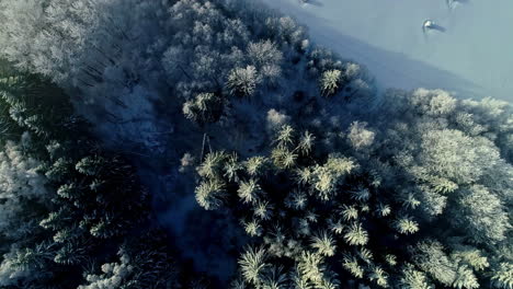 Aerial-view-of-Finland-frozen-forest,-deep-white-winter-in-Scandinavia