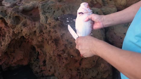 Male-Hands-Skillfully-Remove-Fish-Bones-on-seashore-rocks