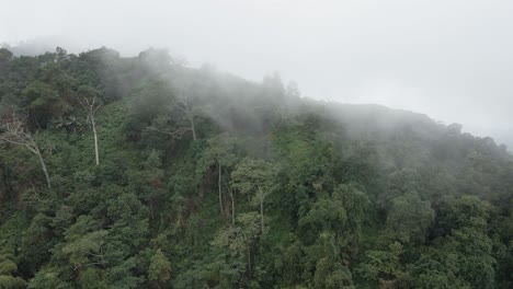 Drone-slowly-pans-across-a-misty-forested-mountain-of-the-Sierra-Nevada,-Colombia
