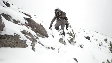 Bogenschießen-Bogen-Elchjagd-Im-Schnee-In-Montana-Im-Oktober-Im-Schnee