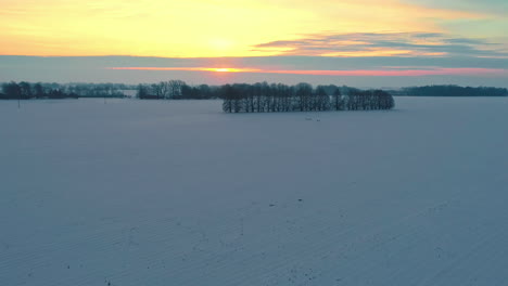 Brillante-Amanecer-Dorado-En-Un-Día-De-Invierno-Sin-Nubes-A-Través-De-Un-Campo-Nevado