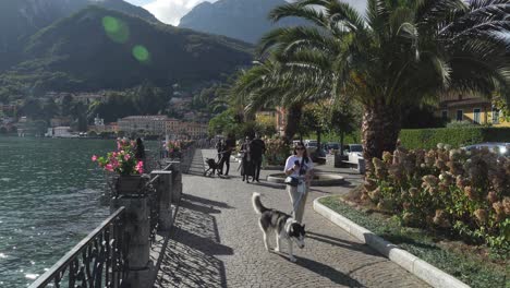 Mujer-Joven-Paseando-A-Su-Perro-En-El-Paseo-Marítimo-De-La-Ciudad-De-Menaggio,-Cerca-Del-Lago-De-Como.