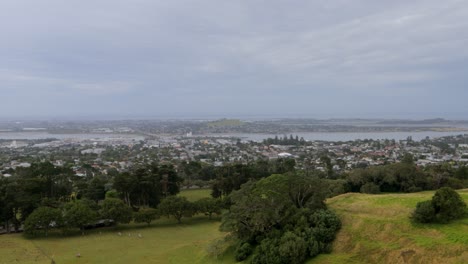 Panorámica-De-La-Ciudad-De-Auckland,-Zona-Urbana-Verde-De-Nueva-Zelanda,-Cima-De-Una-Colina-De-árboles,-Parque-Cornwall