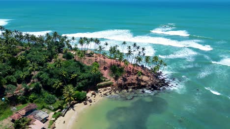 Vista-Aérea-Del-Paisaje-De-Drones-De-La-Colina-Del-árbol-De-Coco-Plantación-De-Palmeras-Promontorio-Punto-De-La-Bahía-De-Mirissa-Sri-Lanka-Viajes-Turismo-Vacaciones-Naturaleza-Asia