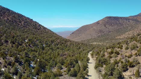 Montañas-Y-Vegetación-En-Death-Valley,-California,-EE.UU.---Disparo-De-Drone