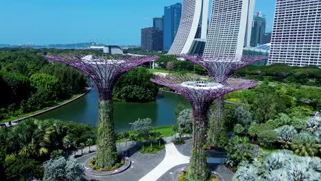 Paisaje-Aéreo-De-Drones-De-Supertree-Grove-Jardines-Verticales-Junto-A-La-Bahía-Marina-Bay-Sands-Ciudad-De-Singapur-Libélula-Lago-Asia-Viajes-Vacaciones