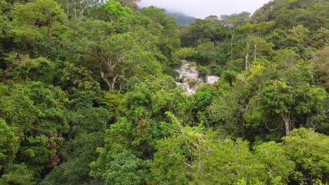 Panoramic-drone-view-of-dense-forest-in-Santa-Marta,-Colombia