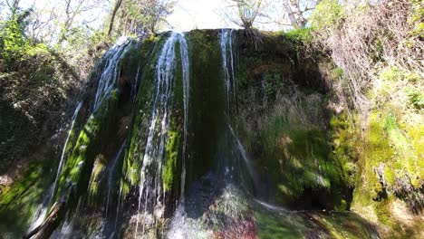 Este-Metraje-Captura-La-Esencia-De-La-Tranquilidad-Natural,-Invitando-A-Los-Espectadores-A-Sumergirse-En-El-Ambiente-Pacífico-Del-Bosque.