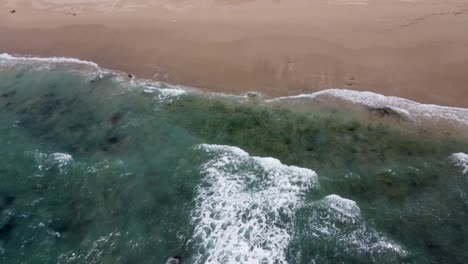Top-shot-of-waves-crashing-on-beach