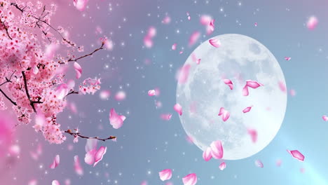 Beautiful-Magnolia-Tonia-Showing-Pink-Flowers-Blooming-In-Early-Spring-Under-Light-Moon