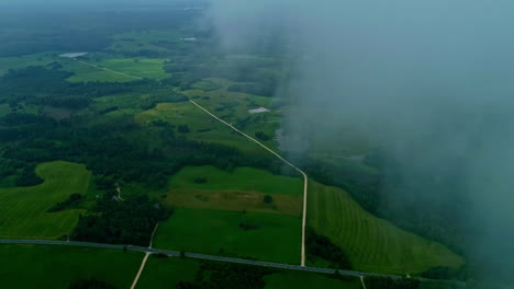 Flying-Over-Beautiful-Foggy-Wild-Forest-field-drone-aerial-video