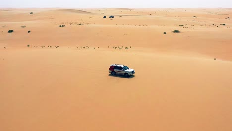 Disparo-De-Un-Dron-Alrededor-De-Un-Vehículo-Todoterreno-4x4,-Conduciendo-Por-El-Desierto-árabe,-Día-Soleado,-En-Arabia-Saudita---Dando-Vueltas,-Disparo-De-Un-Dron