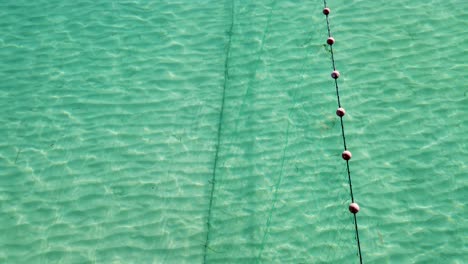 Fish-Swimming-Along-Fishing-Net-in-the-Mediterranean-Aegean-Sea:-Aerial-View-of-a-Traditional-Trap-in-Thessaloniki's-Crystal-Clear-Blue-Waters