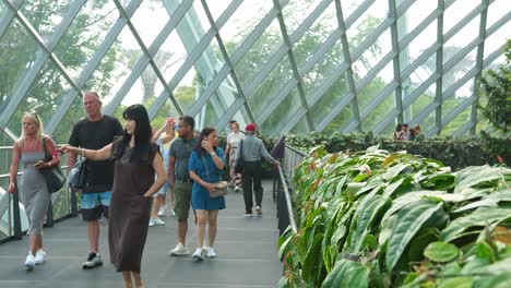 Tourists-walking-on-the-aerial-walkway-of-the-cloud-forest-greenhouse-conservatory-at-Gardens-by-the-bay-in-Singapore