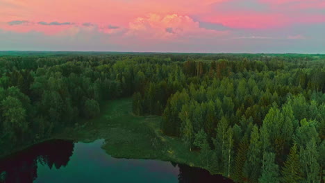 Beautiful-aerial-view-of-pink-sunset-over-rich-forest,-dolly-forward-along-lake-reflection
