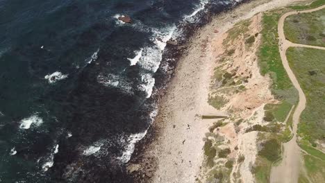 Drone-Shot-of-Seagulls-Flying-Over-the-Cliffs-of-Pint-Vicente-in-Rancho-Palos-Verdes,-Los-Angeles,-California-on-a-Warm-Sunny-day-with-Crystal-Clear-views-of-the-Pacific-Ocean