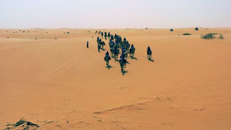 Aerial-view-over-a-camelcade-safari,-Arabs-riding-on-the-Arabian-desert,-sunny-evening,-in-Saudi-Arabia---dolly,-drone-shot