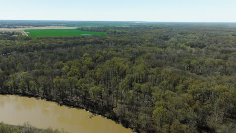 Woodlands-Over-Lower-Hatchie-National-Wildlife-Refuge-In-Tennessee,-USA