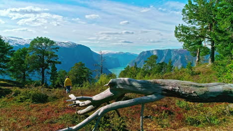 Abenteuerlustige-Frau-Auf-Dem-Weg-Zum-Magischen-Aussichtspunkt-Des-Bergsees,-Rückansicht
