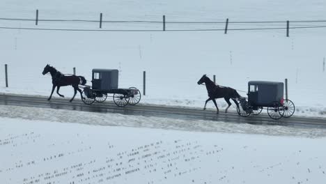 Amish-horse-and-buggies-traveling-on-wet-street-surrounded-by-snow-covered-farmland