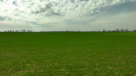 Expansive-View-Of-Green-Agricultural-Field