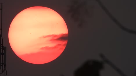 Beautiful-sunset----close-up-sun-.-leaf