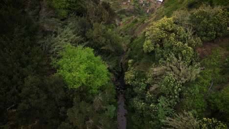 Epische-Topdown-FPV-Ansicht-Der-Berge-Bis-Zu-Den-Meereswellen,-Coole-Drohnenbewegung,-Madeira,-Portugal