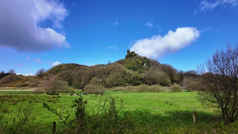 Rural-scene-in-Ireland-ruins-of-Dunhill-Castle-on-hill-cows-enjoying-the-spring-sunshine-and-puffy-white-clouds-scurrying-over-in-Waterford