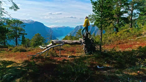 Touristin-Bewundert-Die-Wunderschöne-Aussicht-Auf-Den-Norwegischen-Fjord-Norwegen